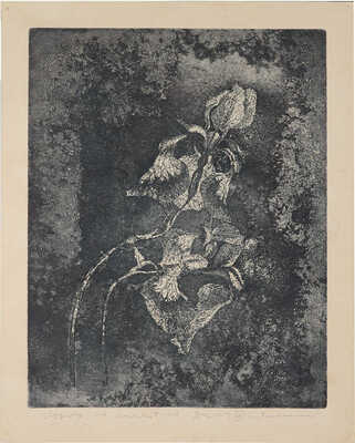 Плавинский Дмитрий Петрович. Ирисы